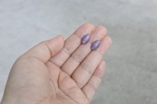 画像3: 　　d a y 1 1 4 (3)