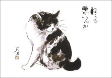 画像3: ポストカードセット - ねこ (3)
