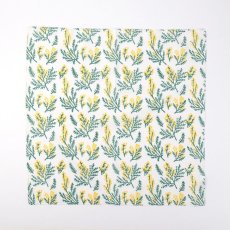 1.ミモザホワイト