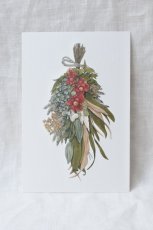 画像4: ポストカードセット - botanical 1  (4)