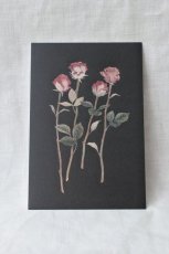 画像2: ポストカードセット - botanical 1  (2)