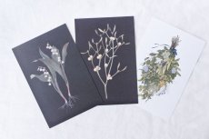 画像1: ポストカードセット - botanical 2 (1)