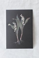 画像2: ポストカードセット - botanical 2 (2)