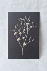 画像3: ポストカードセット - botanical 2 (3)