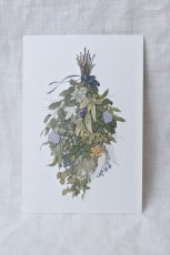 画像4: ポストカードセット - botanical 2 (4)