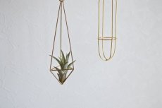 画像3: オーナメント (3)